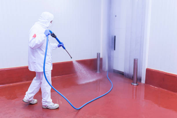 Best Soft Washing  in Tenafly, NJ